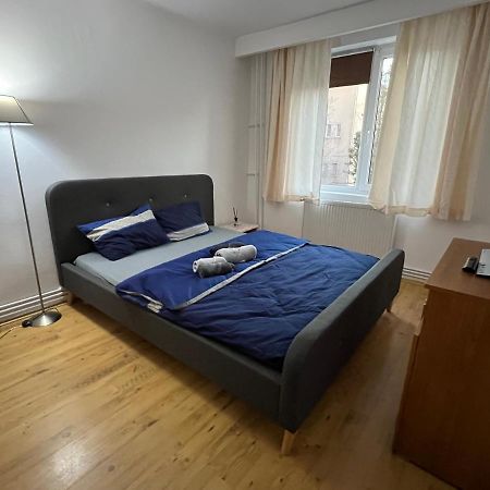 Apartment 2 Camere Centru Piata 700 Temeşvar Dış mekan fotoğraf