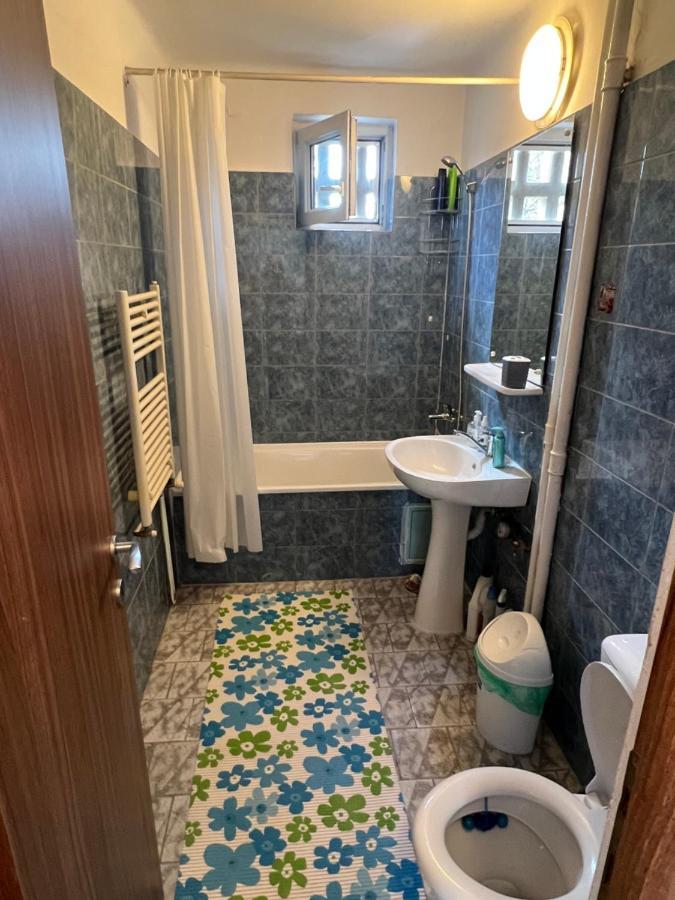 Apartment 2 Camere Centru Piata 700 Temeşvar Dış mekan fotoğraf
